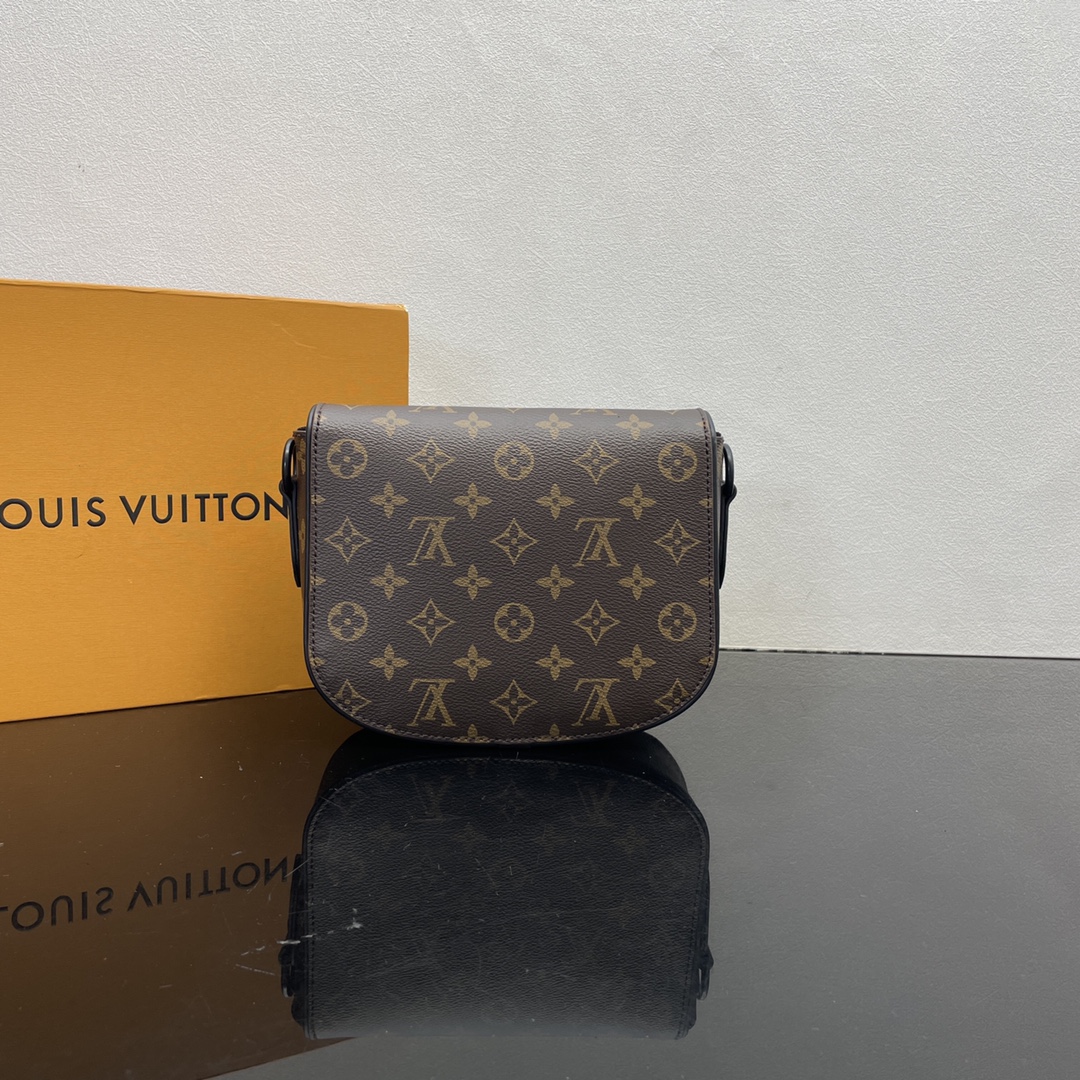 Louis Vuitton Satchel Bags